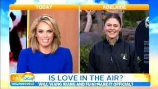 Today Show Funny Bits Part 70. Sharks & Recreation!