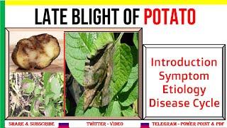 Late Blight of Potato, History, Symptom, Etiology, Disease Cycle, MCQ | Irish Famine | #PHV4