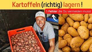 Kartoffeln (richtig) lagern  5 FEHLER, die Du vermeiden musst!