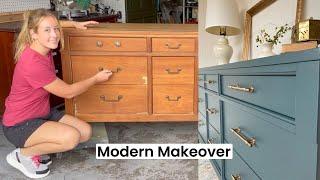 Furniture Makeover Using Wise Owl One Hour Enamel