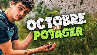 LE POTAGER DU MOIS D'OCTOBRE - Fin du potager d'été début du potager d'automne !