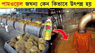 পামওয়েল এত জঘন্য কেন, জানলে মাথায় আকাশ ভাঙবে, palm oil making and farming process