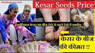 केसर के बीज की कीमत | Kesar Seeds Price