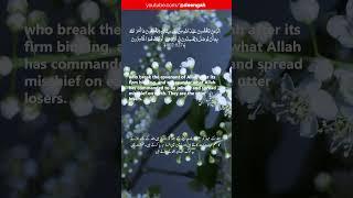 Surah Al-Baqarah - سُورَة البقرة | verse 27, 28 | #shorts #quran