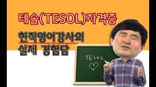 현직강사가 말하는 테솔(TESOL)자격증 실제경험담 +메리트