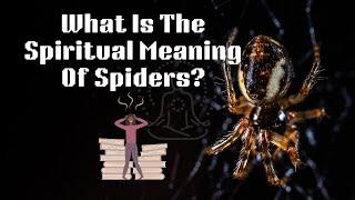 What Is The Spiritual Meaning Of Spiders. Spiritual Meaning Of Black Spiders In House .New Video