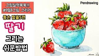 [펜스케치]기초/과일 쉽게그리기/딸기/strawberry drawing(pen and watercolor)