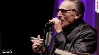 Rick Estrin & The Nightcats live at WHF2013 - Callin all Fools