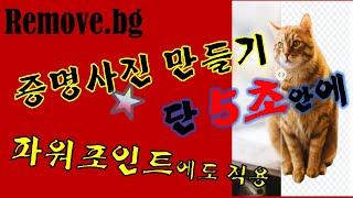 PC에서 누끼 따기 단 5초안에 이미지에서 배경 제거하기 ㅡremove.bg