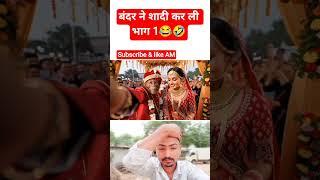 बंदर ने शादी कर ली भाग 1monkey videovlog#shorts #comedy #comedy #viral #shorts#ai
