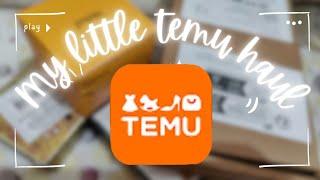 My little temu haul | first time shopping experience from temu | @naginabuckets8525