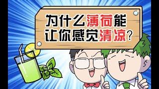 缸灿食话：真·綠色健康小清新｜輕動漫趣味演繹