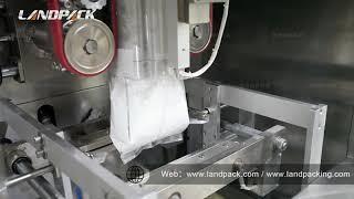 LD 420D+Flour+Gesset bag device---Foshan Landpack Machinery