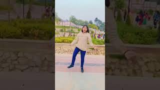 Palang majboot
