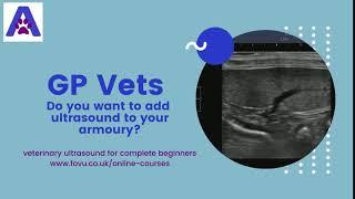 Veterinary Ultrasound for Complete Beginners