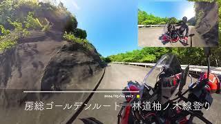 CRF250RALLY 房総林道ツーリング ゴールデンルート⑦ 林道柚ノ木線 登り2024/05/04