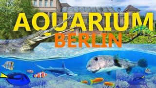 Aquarium Berlin – historisch und doch zeitgemäß? | Zoo-Eindruck