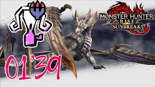 【MHR:SB PC】01'39 M6 Primordial Malzeno LBG