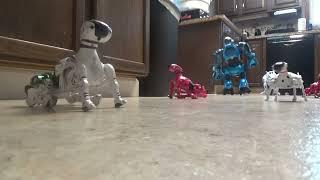 Robopets