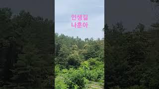 #인생길 #나훈아