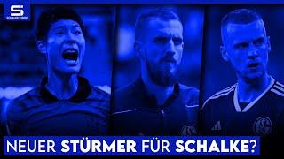 Neuer Stürmer aus Südkorea? Problemfälle im Training! Ouedraogo kommt nicht zurück! | S04 NEWS