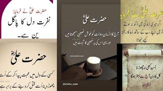 Hazrat Ali ka farman hai - Urdu shayri collection- Islamic Quotes- heart touching lines