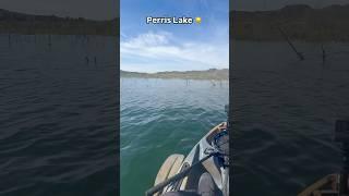 SoCal Bass Fishing Lake Perris #shorts #fishing #thecsickfisherman