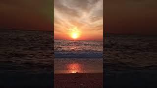  Addiction Peace with #pemachodron  ️ #mindfulness  #ptsdpeace #anxiety  #shorts