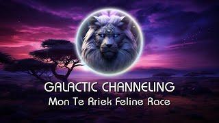 Mon Te Rriek Feline Race - Galactic Weekly Channeling Series