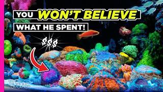 Largest Collection of Meat Coral we’ve seen in one tank | 280 Gallons