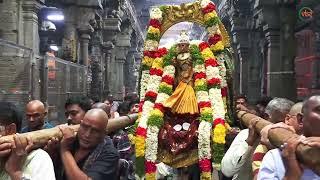 GNANA PRASUNAMBHA  PRAKAROTSAVAM - SKHT - SRIKALAHASTI - TIRUPATI - 06 - 12 - 2024