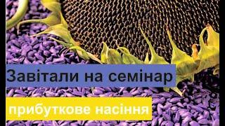 Прибуткове насіння соняшника.  Євросем