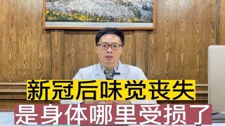 新冠后味觉丧失，是身体哪里受损了？恢复味觉，医生教你处理方法