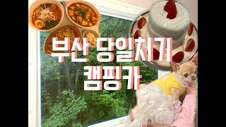 EP2.브이로그｜부산당일치｜반핀｜향미공간｜글램핑｜캠핑카