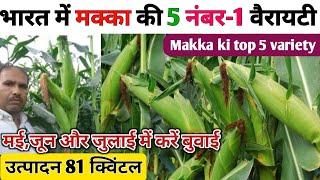 मक्का की TOP 5 वैरायटी// गर्मी में मक्का की खेती कैसे करें//makka ki top variety//makka ki kheti