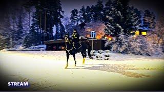 Evening health walk, early spring. #finland