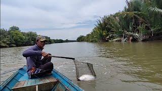 The Barramundi fish turned out to be in shallow water, grilled fish and Barramundi head vegetables