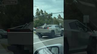 Tesla Cybertruck delivering cat scratchers #shorts