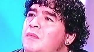 Los napolitanos hablándole a maradona