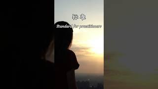 标准                                                               Standard for practitioners