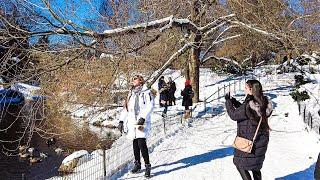 NYC Central Park Snow Walk | Day After Bombogenesis Storm Kenan