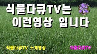 식물다큐TV는 이런 영상입니다 (채널 소개 영상)