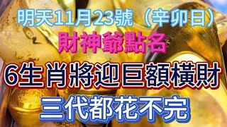 不得了！ 11 月 23 號辛卯日一到，財神點名 6 生肖，他們將迎巨額橫財，富三代都花不完，從此財運開掛亨通一世，你在其中嗎？#風水 #感情 #生肖 #財富