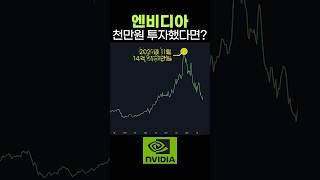 엔비디아 2010년에 천만원 넣었으면?