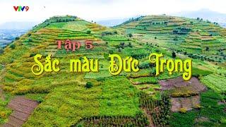 SẮC MÀU Đức Trọng | Ký sự Xuôi dòng Đa Nhim - Tập 5 | VTV9