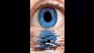 Tony Bertauski   Halfskin   Audiobook