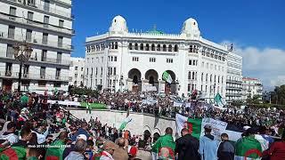 Algerie Hirak  2019  Copyright Zinedine Zebar