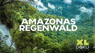 Geheimnisse im Amazonas Regenwald | Expedition zum Essequibo | XL Naturdoku