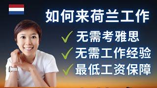 (Eng Subs) 荷兰 | 最新工作签证 | 如何来荷兰工作 | Residence permit for essential start-up personnel