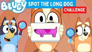  BLUEY - Spot the Long Dog Challenge‼️ | Disney Jr | ABC Kids